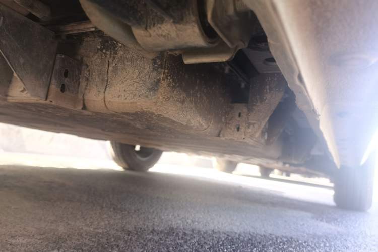 Used  Panda 2024 Panda Mini 200km Endurance Bear
