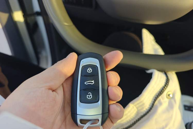 Used  Panda 2025 210km Panda Kart