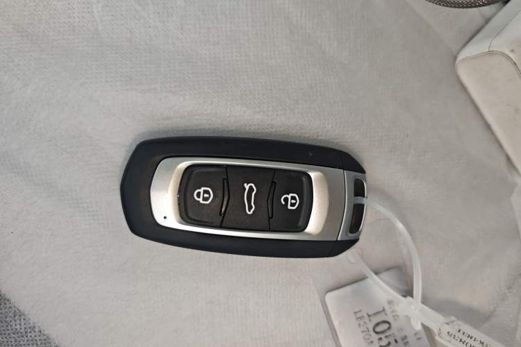 Used  Panda 2025 210 km – Yuanqi Bear
