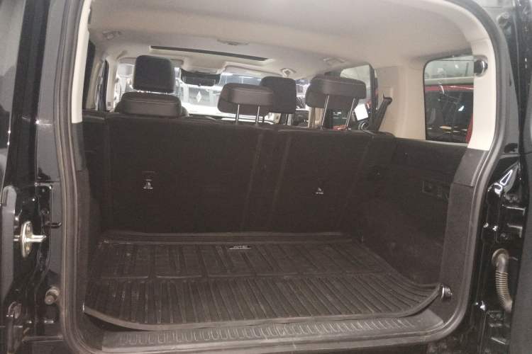 Used Tank 300 2024 2.0T Conqueror