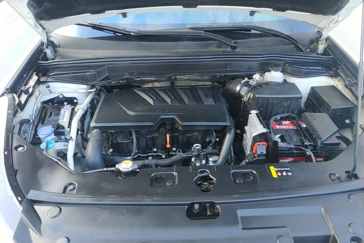 Used Haval H6 Coupe 2018 Red-Label 1.5T Automatic Two-Wheel Drive Ultra-Luxury Model
