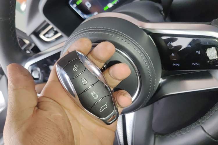 Used Hongqi HQ9 PHEV 2024 2.0T Four-Wheel Drive Business Edition
