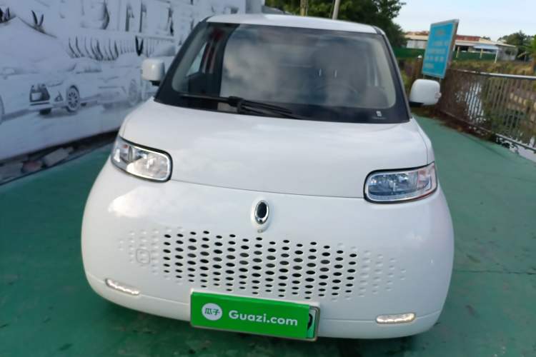 Used ORA White Cat 2020 360 km Luxury Version