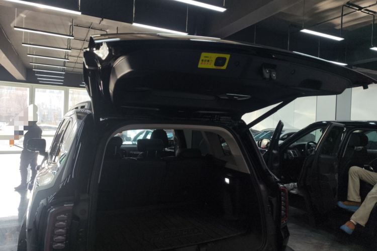 Used Haval DARGO 2024 2.0T DCT Chinese Rural Dog Edition
