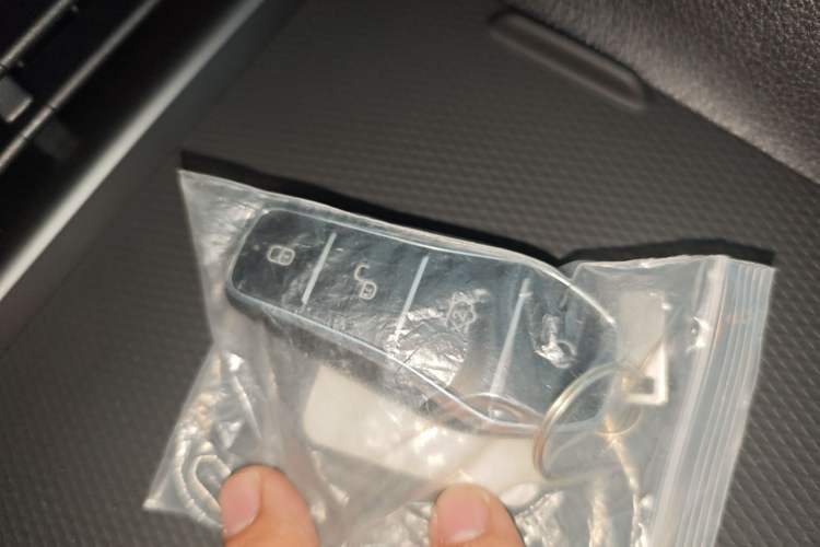 Used BYD Seal 05 DM-i 2025 DM-i Smart Drive 55KM Luxury Model
