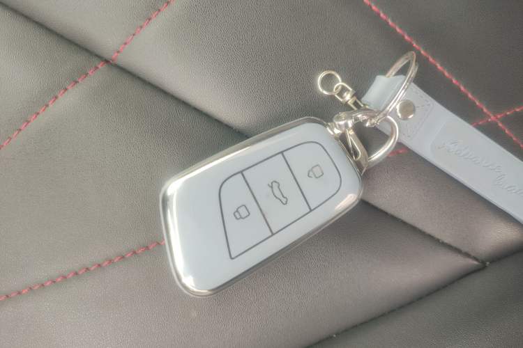 Used Chery Little Ant 2023 251km True Love Edition Lithium Iron Phosphate
