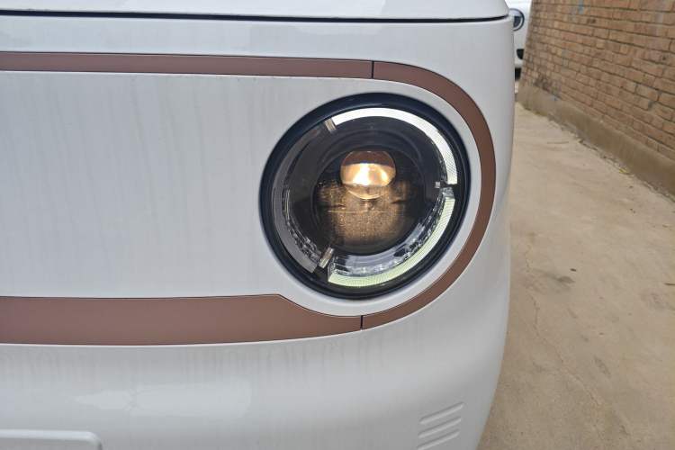 Used  Panda 2024 Panda Mini 200km Endurance Bear
