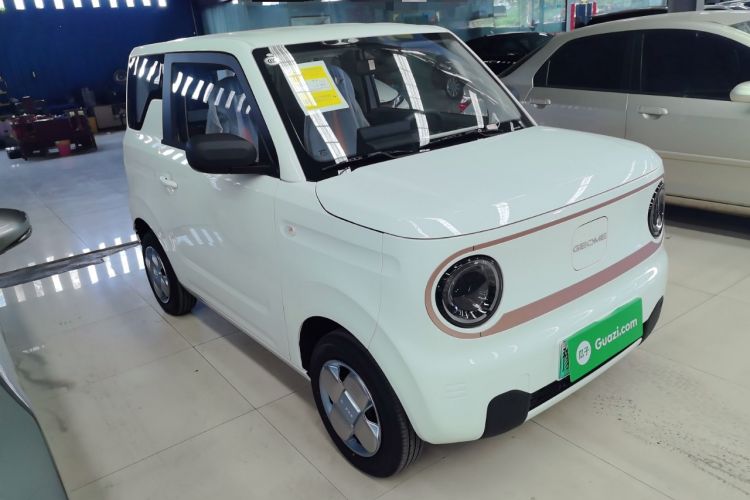 Used  Panda 2024 Panda Mini 200km Endurance Bear