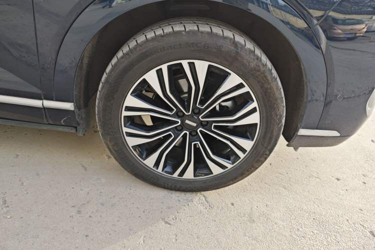 Used Wey Lanshan 2023 Four-Wheel Drive Ultra-Long Range Version
