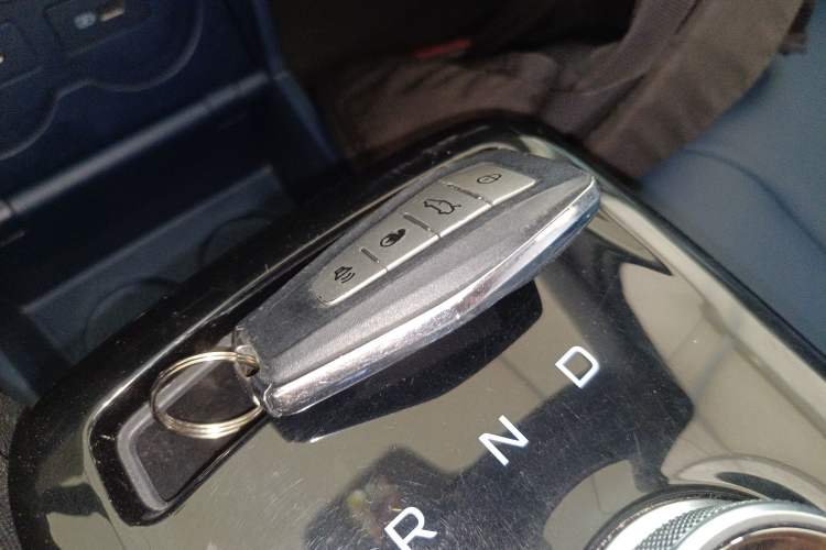 Used Geometry E Firefly 2023 401KM Linglong Tiger 5-Seater