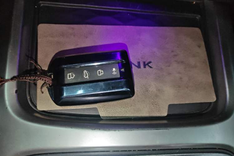 Used Tank 300 2021 Off-Road Edition 2.0T Conqueror