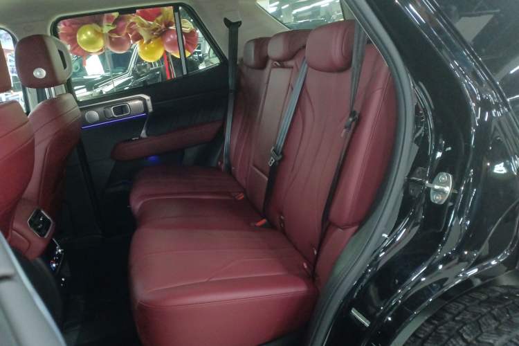 Used Tank 400 New Energy 
