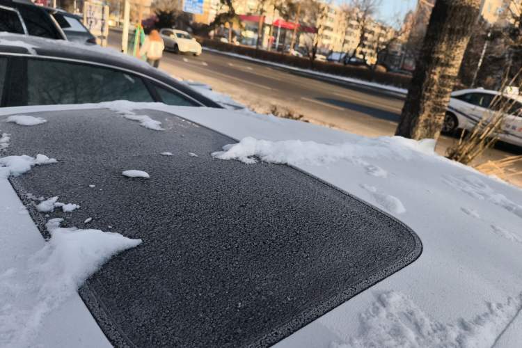 Used Honda Civic 2023 240TURBO CVT Dynamic Edition