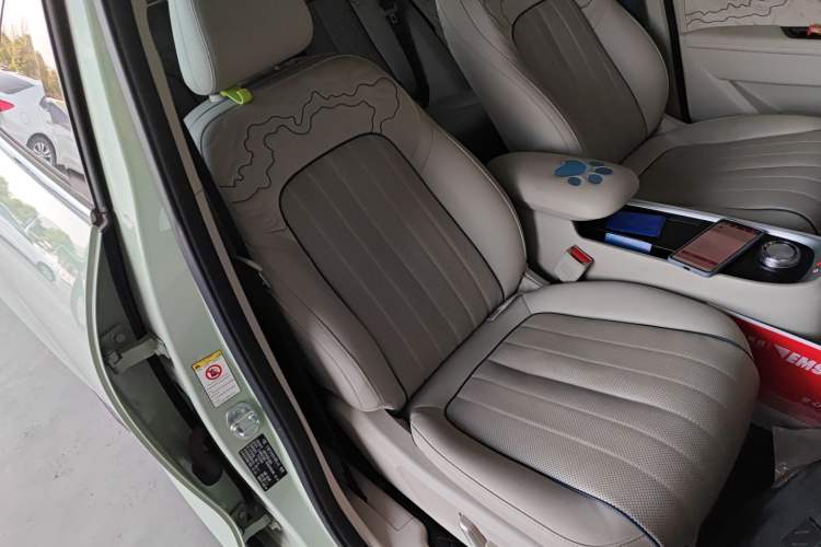 Used ORA Good Cat 2022 Morandi Edition 400km Standard Range Premium Version Lithium-Ion Battery