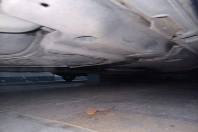 Used Volkswagen Magotan 2020 330TSI DSG Luxury Edition
