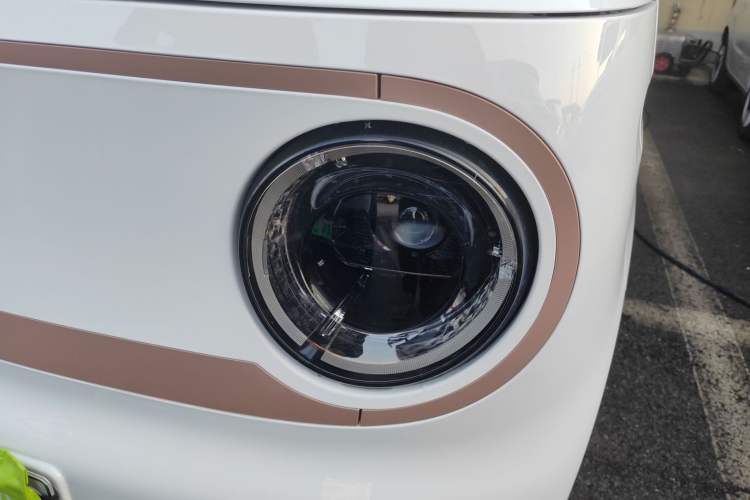 Used  Panda 2024 Panda Mini 200km Endurance Bear
