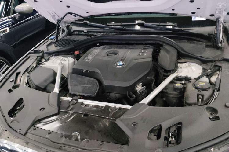 Used BMW 5 Series 2018 Restyled 530Li Leading Edition M Sport Package
