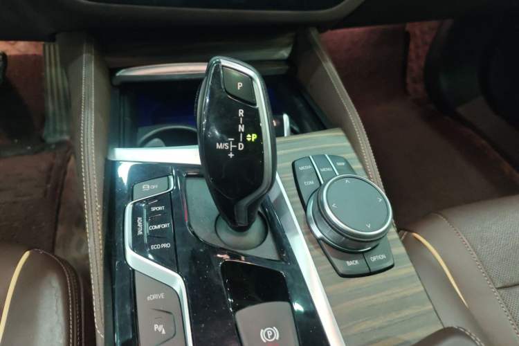 Used BMW 5 Series New Energy 2019 Updated Version 530Le Luxury Package