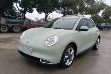 Used ORA Good Cat 2023 401 km Standard Range Premium Version Lithium Iron Phosphate