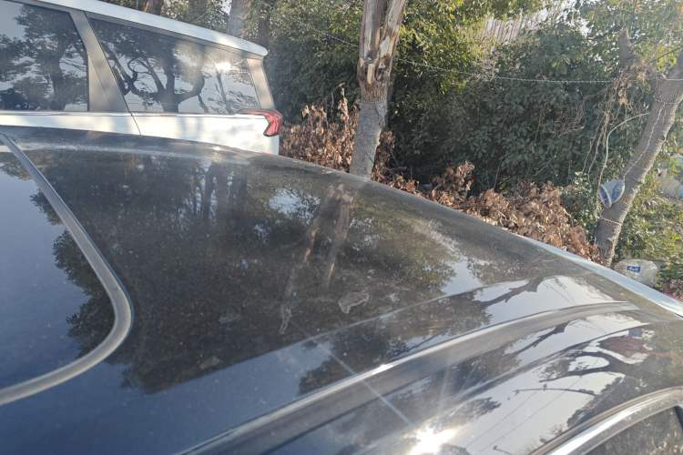 Used Honda Civic 2016 180TURBO CVT Comfort Version