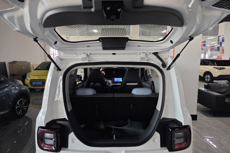 Used  Panda 2024 Panda Mini 200km Endurance Bear