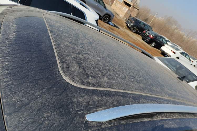 Used Volkswagen Tayron 2023 280TSI Two-Wheel-Drive Luxury Plus Advanced Version
