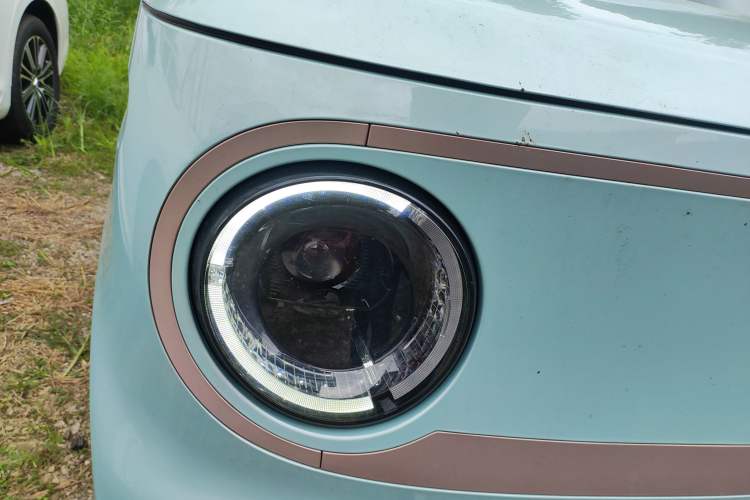 Used  Panda 2023 Panda Mini 200km Dynamic Bear
