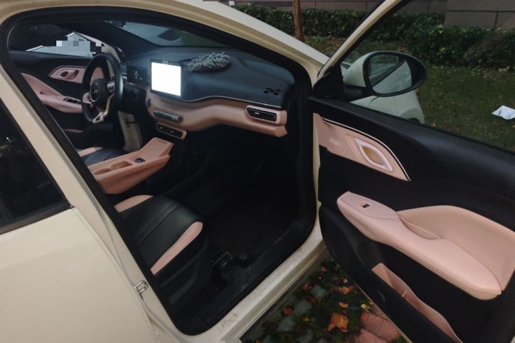 Used BYD Seagull 2024 Honor Edition 305km Freedom Version
