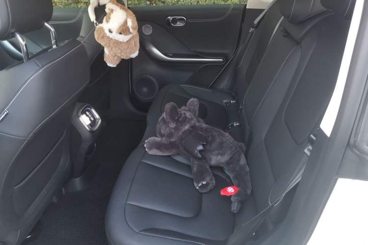 Used  #1 2024 Dynamic Standard Edition
