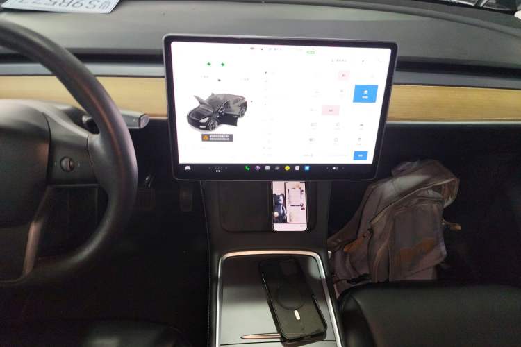 Used Tesla Model Y 2021 Standard Range Rear-Wheel Drive Version
