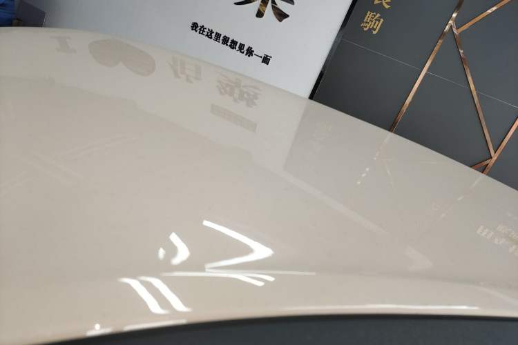 Used ORA Good Cat 2023 401 km Standard Range Luxury Version Lithium Iron Phosphate
