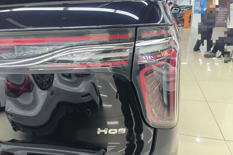 Used Hongqi HQ9 2023 2.0T Smart Connect Flagship Edition
