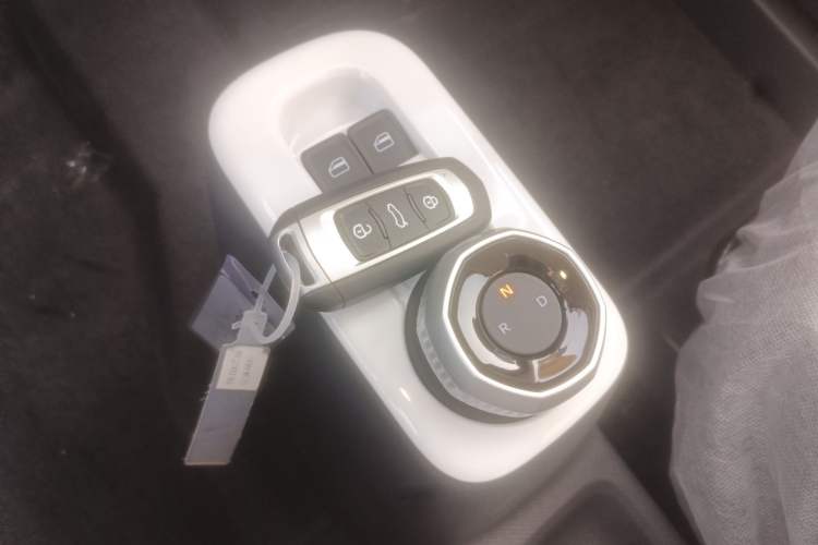 Used  Panda 2025 210 km – Yuanqi Bear