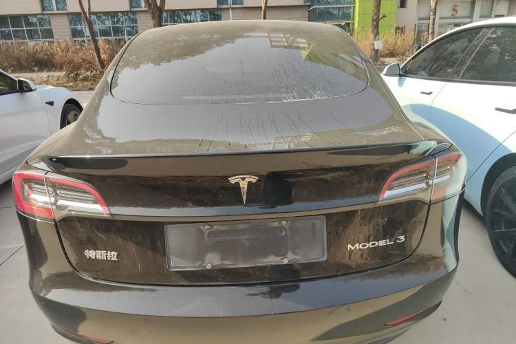 Used Tesla Model 3 2021 Standard Range Rear-Wheel Drive Upgraded Version 3D6