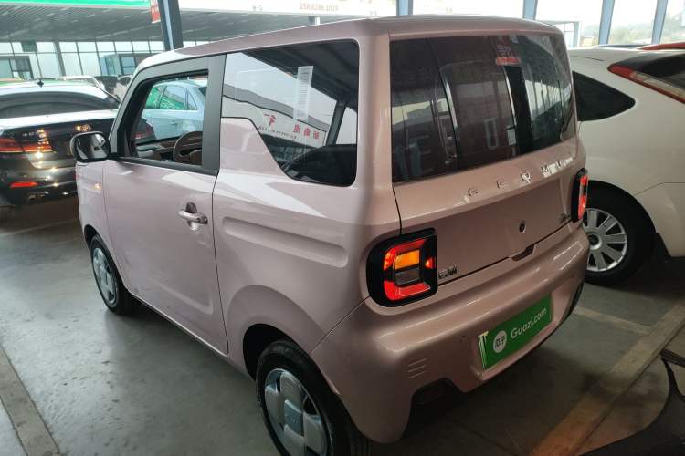 Used  Panda 2024 Panda Mini 200km Longteng PRO Edition