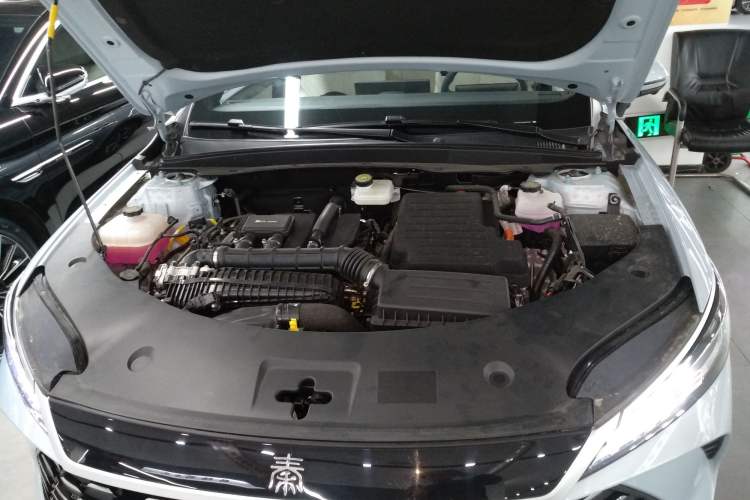 Used BYD Qin PLUS 2025 DM-i Smart Drive 55KM Beyond Model
