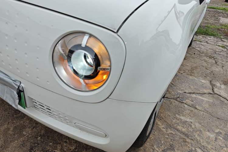 Used ORA Black Cat 2021 301 km Basic Version
