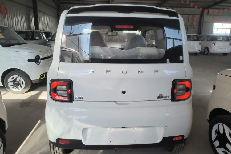 Used  Panda 2025 210 km – Yuanqi Bear