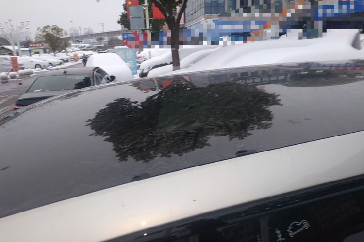 Used  Q07 2025 145 Prestige Edition