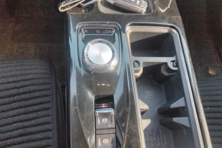 Used Haval DARGO 2021 2.0T DCT 4x4 Chinese Rural Dog Edition
