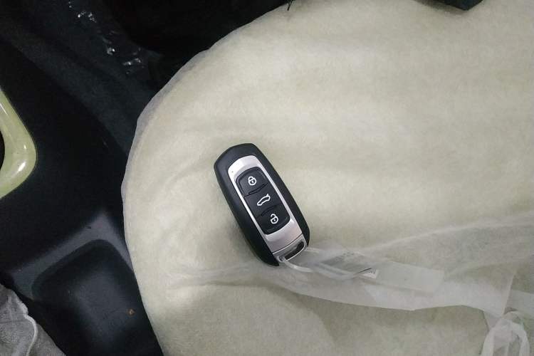 Used  Panda 2024 Panda Mini 200km Endurance Bear
