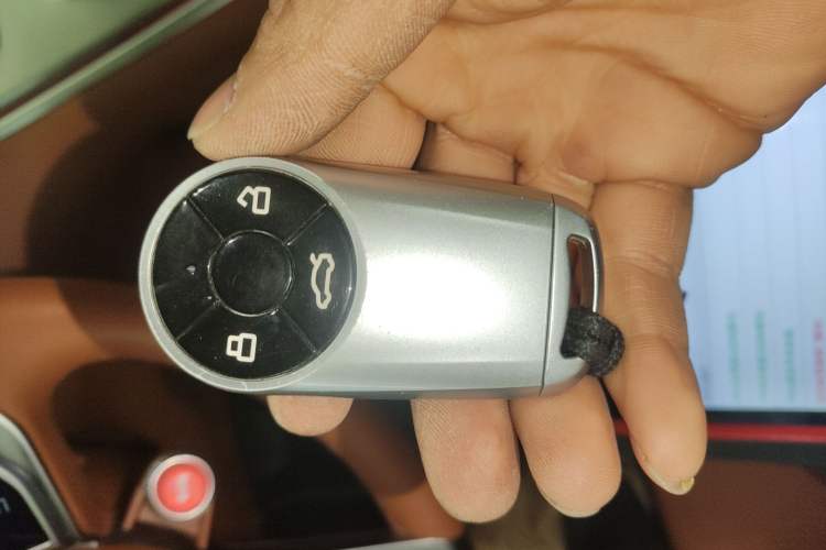 Used ORA Lightning Cat 2022 600 km All-Wheel Drive High-Performance Version
