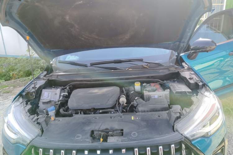 Used Haval LHERY 2021 GT Edition 1.5T Platinum Rabbit