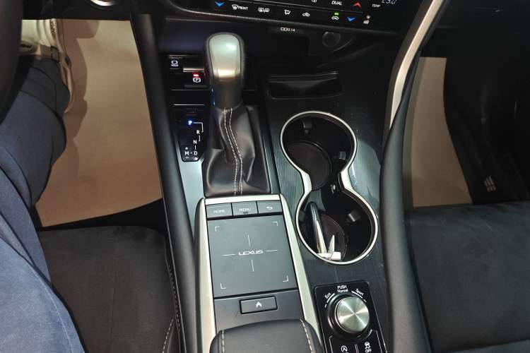 Used Lexus RX 2020 300 Two-Wheel Drive Elite Edition China VI Standard