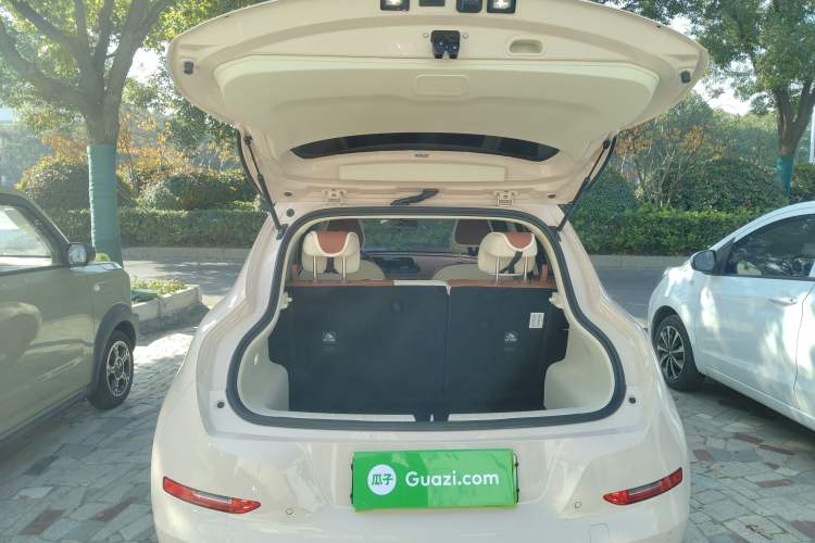 Used ORA Good Cat 2024 401 km Luxury Version
