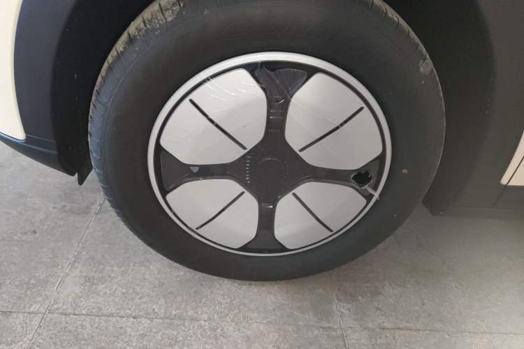 Used  Geome 2025 310km Youth Edition
