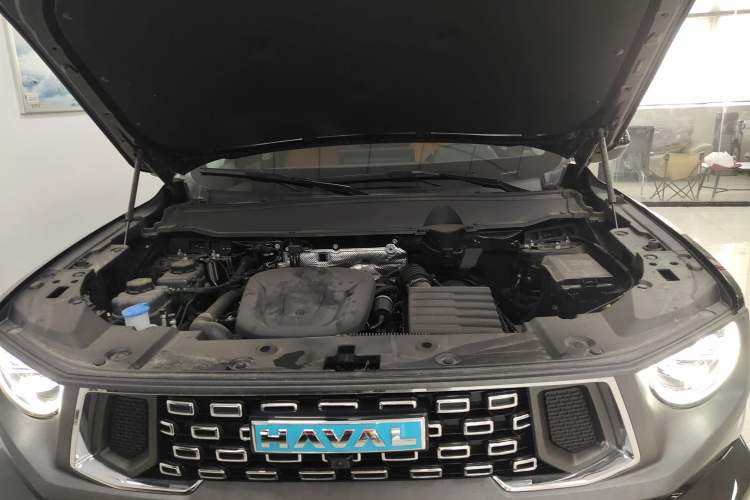 Used Haval  2024 Hi4 102km Trend Electric Version Plus
