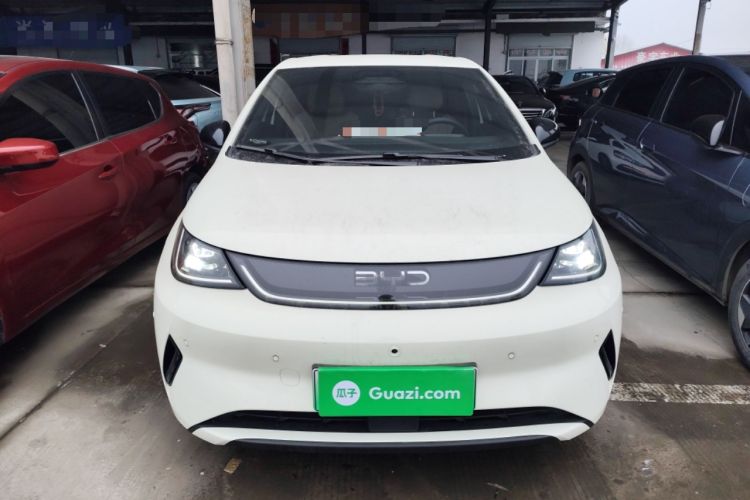 Used BYD Dolphin 2025 Smart Drive Version 420 km Freedom Edition
