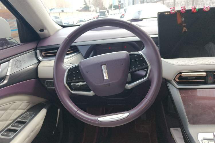 Used Wey Latte DHT 2022 1.5T DHT Extra-Large Cup