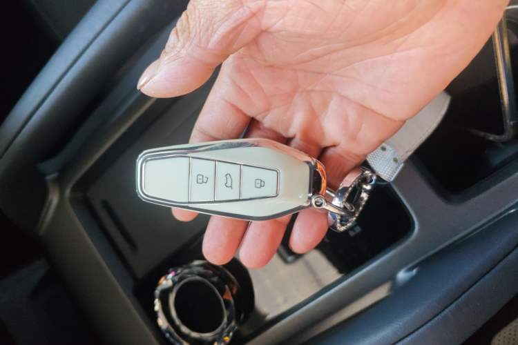 Used  03T 2024 501km Four-wheel Drive Long-Range Version
